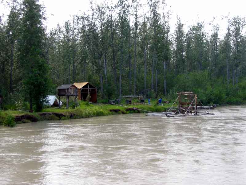 Native fish camp
