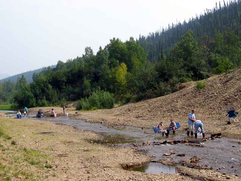 Panning for gold near Chatanika