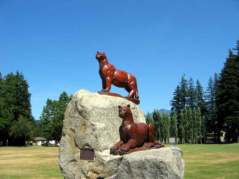 Chainsaw Carving