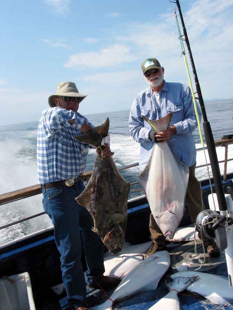 Kachemak Bay halibut