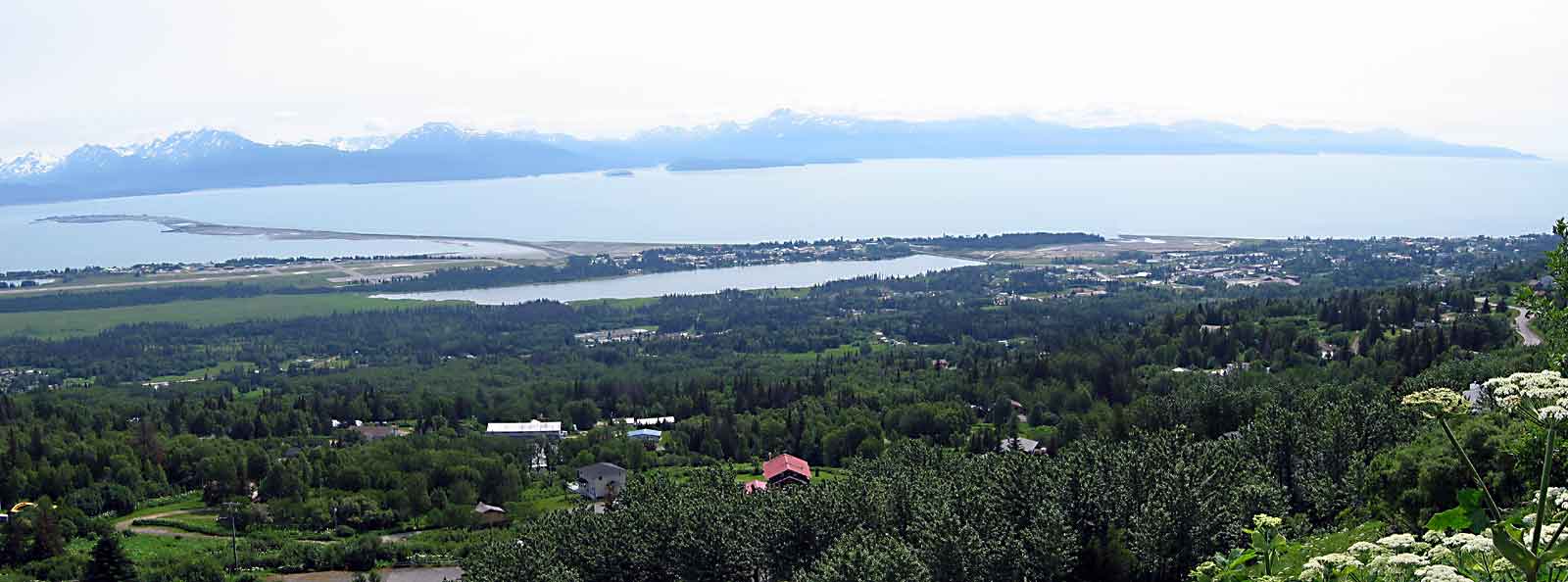 Homer panaramic from Skyline Drive