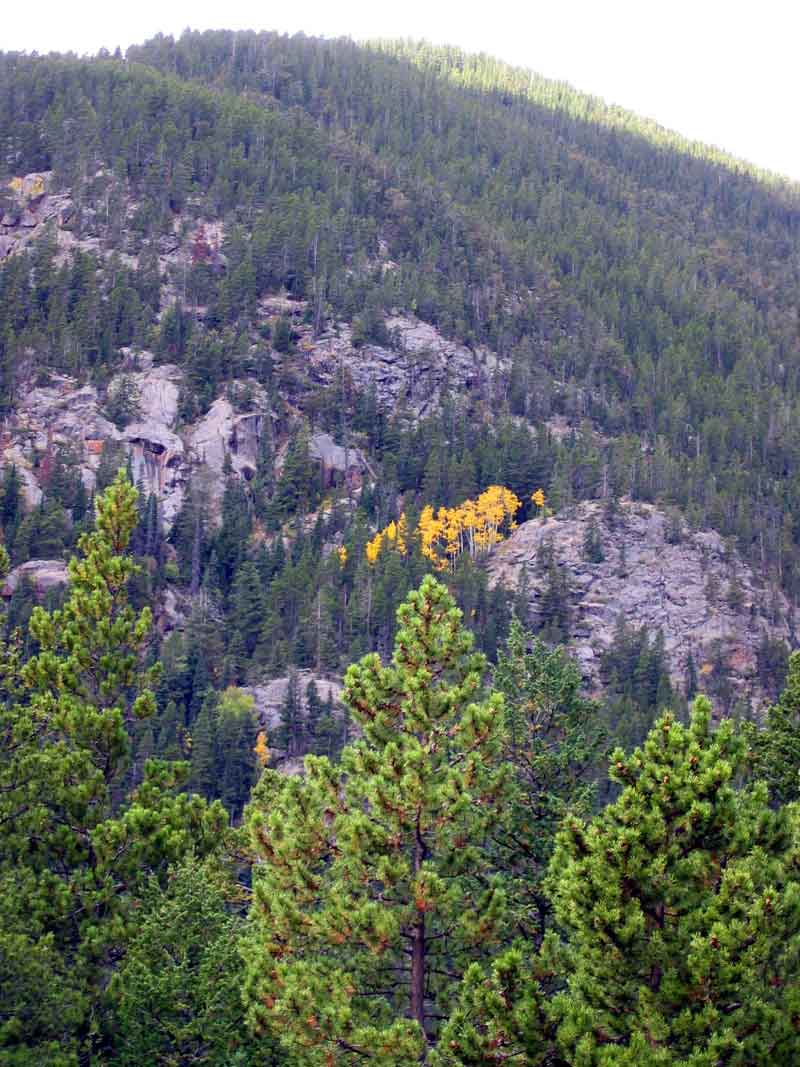 Rocky Mountain NP