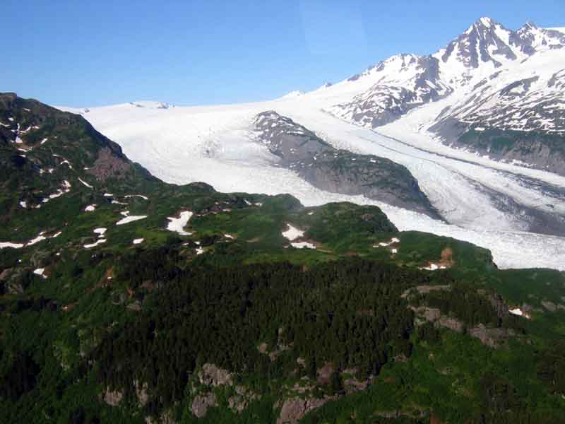 Another large glacier