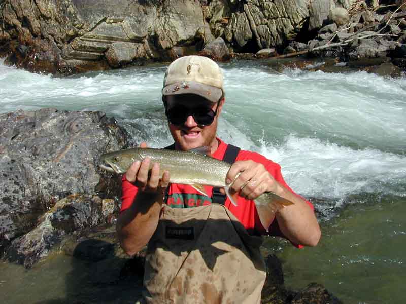 A nice bull trout