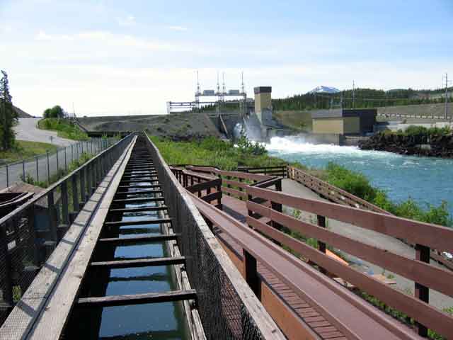 Fish ladder - upper section