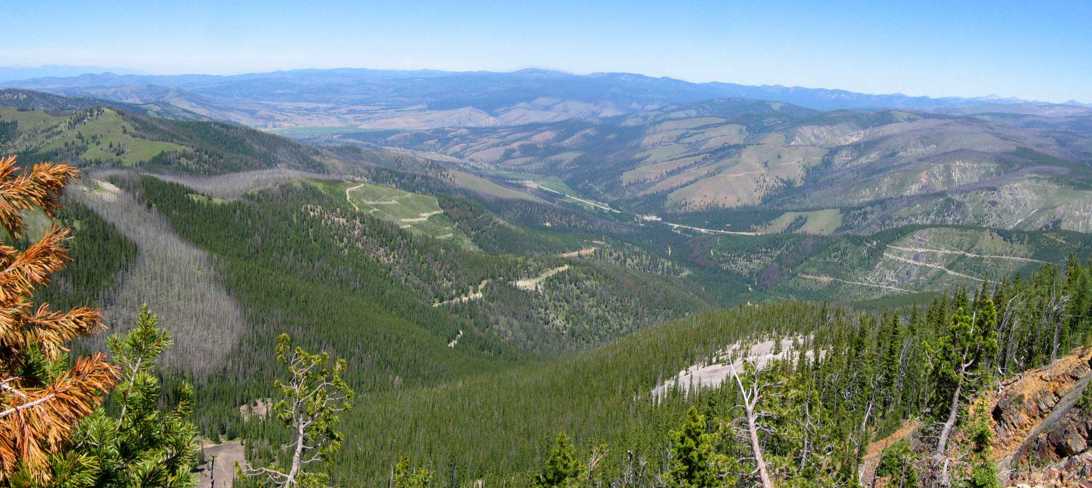 Looking north into the Bitterroot Valley from Saddle Mountain