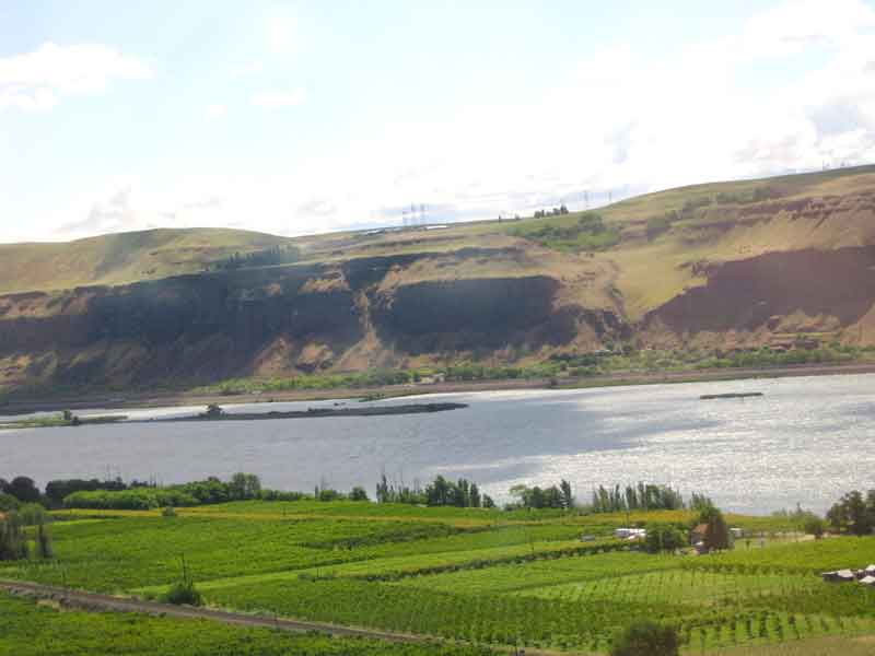 Orchards along the Columbia