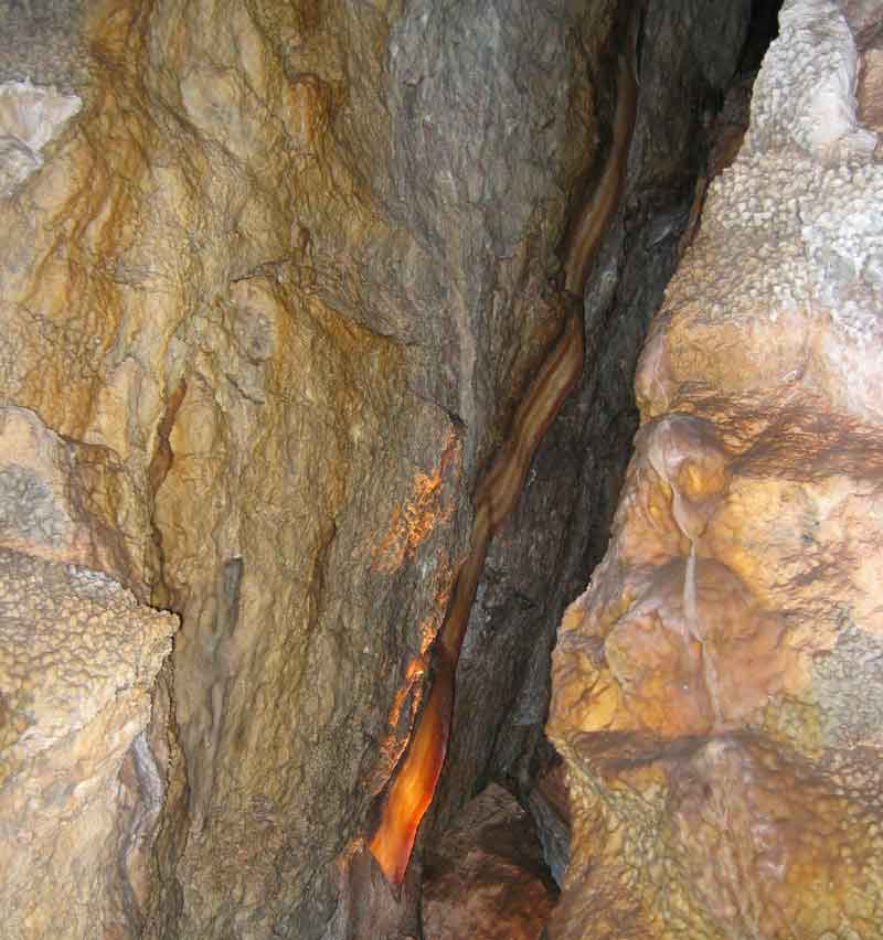 A strip of bacon in wet section of Jewel Cave