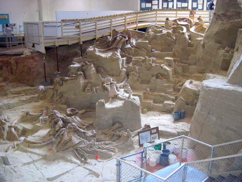 Excavation at the Mammoth Site near Hot Springs