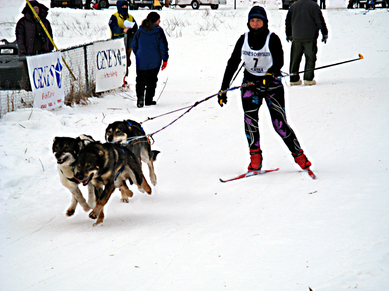 Dog sled racing
