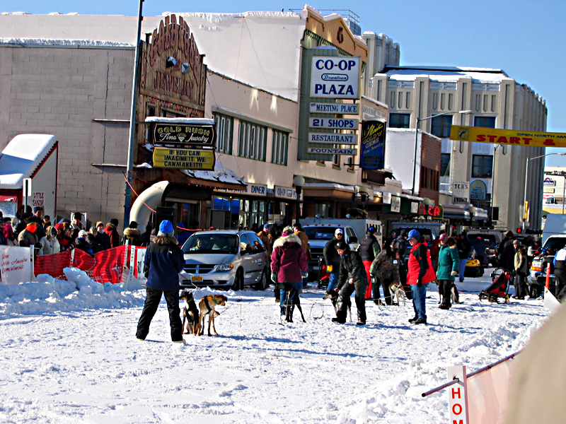 Dog sled racing