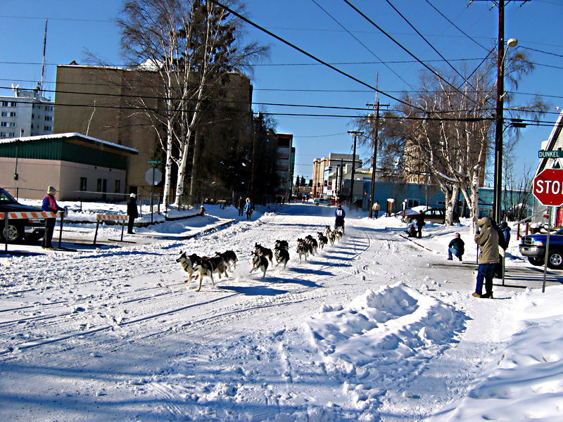 Dog sled racing