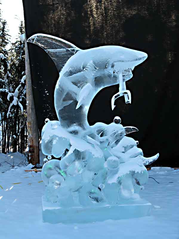 Ice Festival