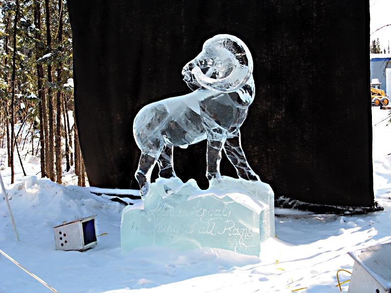 Ice Festival