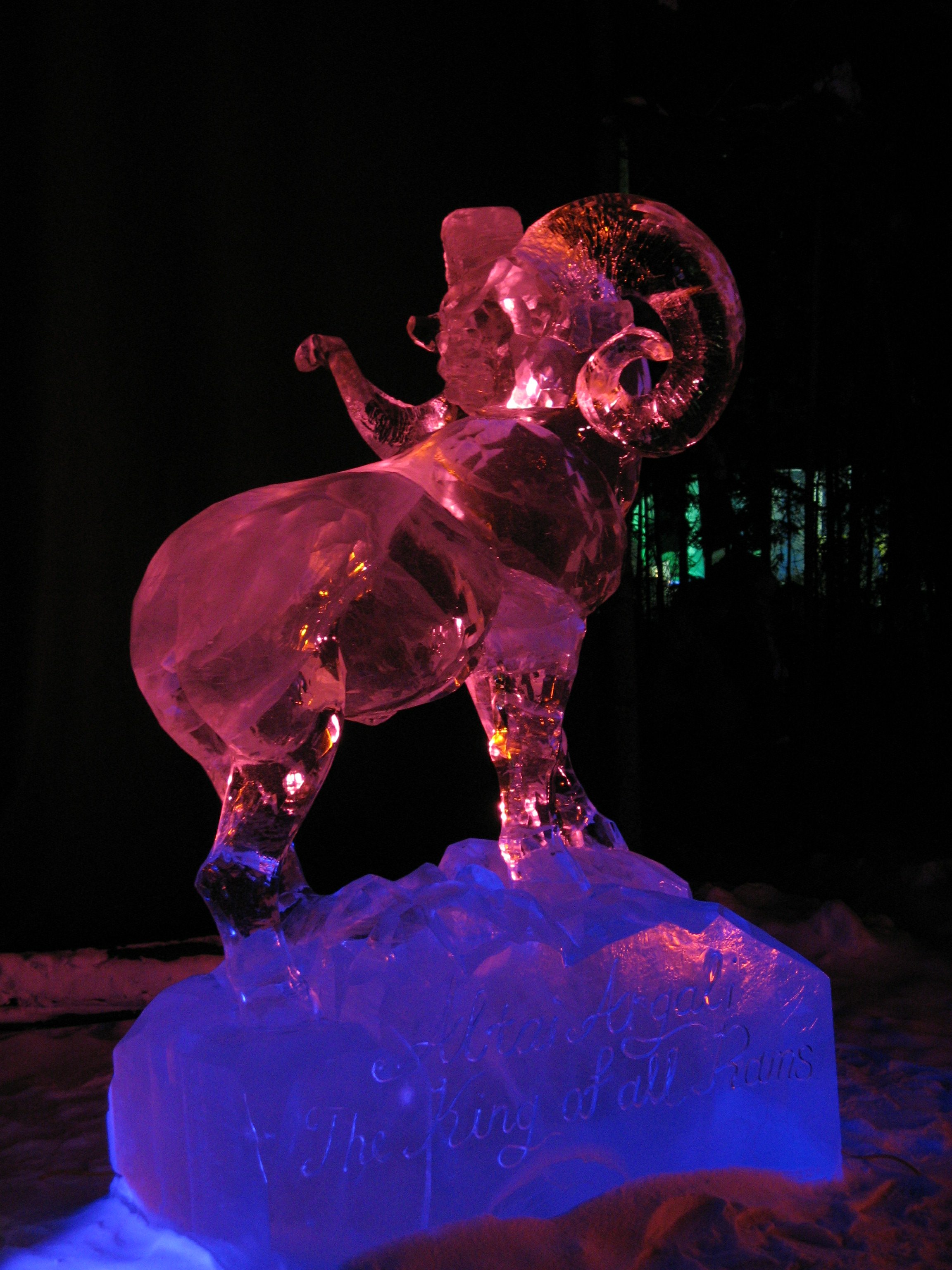 Ice Festival