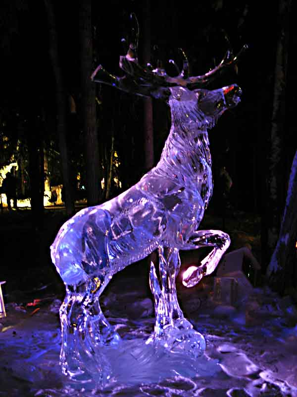 Ice Festival