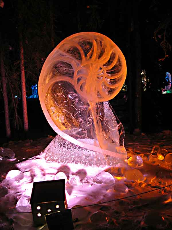 Ice Festival