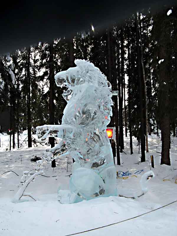 Ice Festival