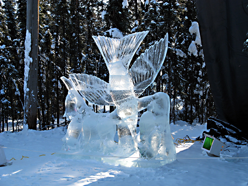 Ice Festival