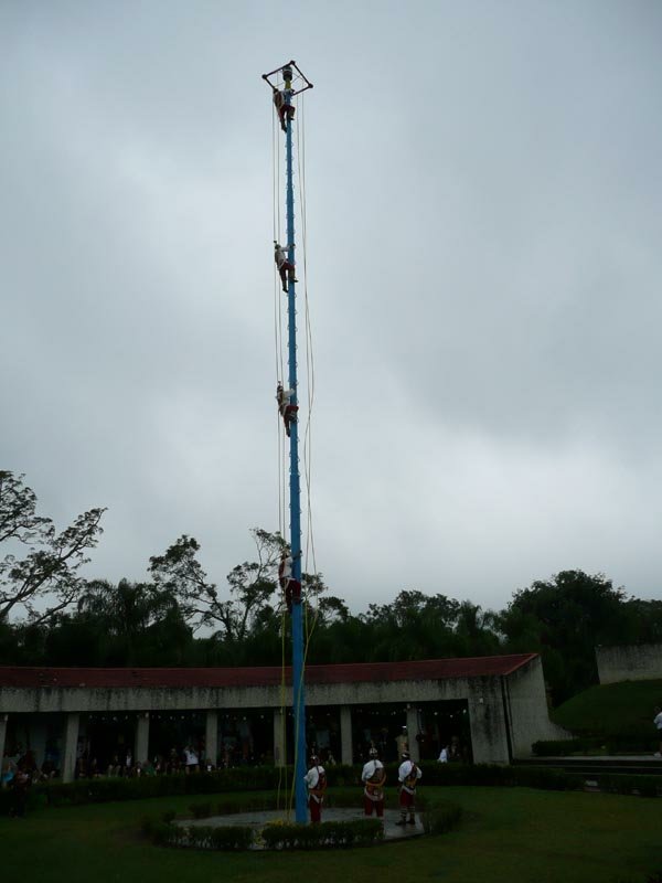 Four Papantla Flyers climbing the pole