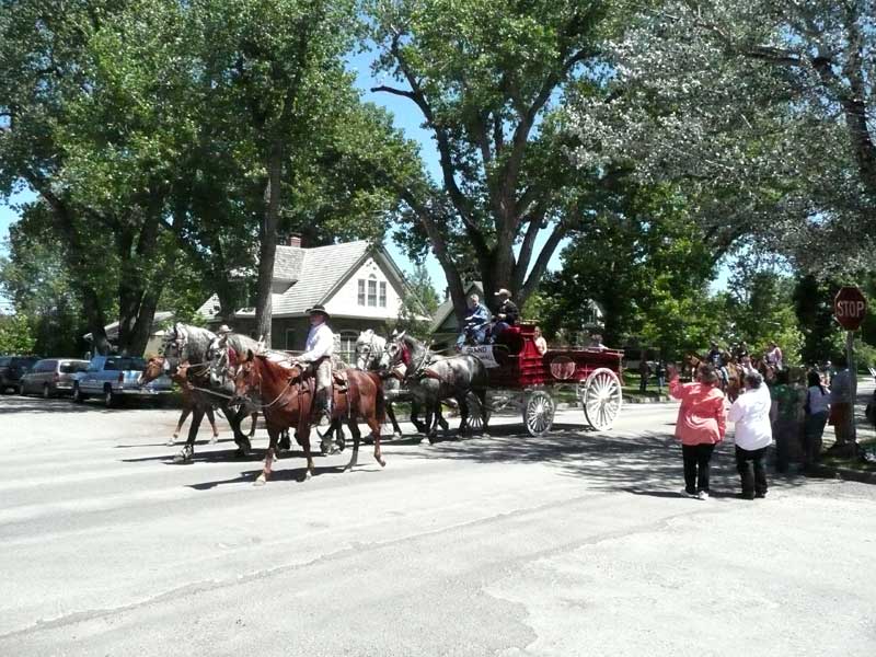 Rodeo parade